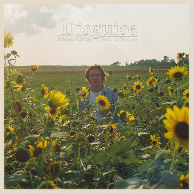 Disguise album image