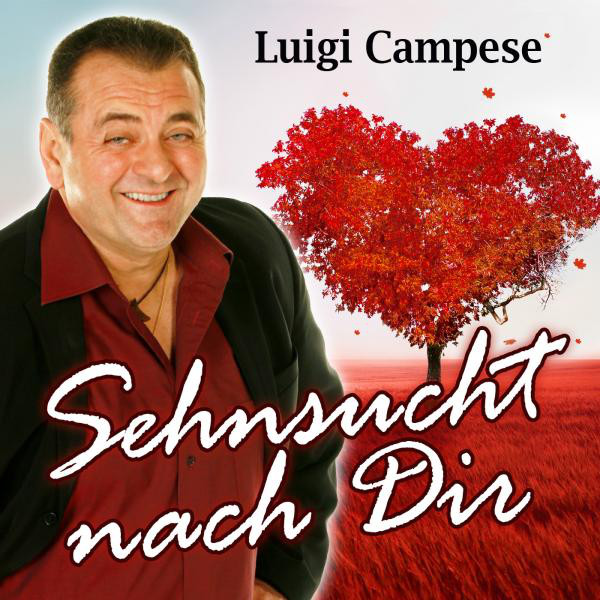 Sehnsucht nach dir cover
