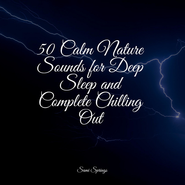 50 Summer Rain Tracks - Album by Rain for Deep Sleep | Spotify