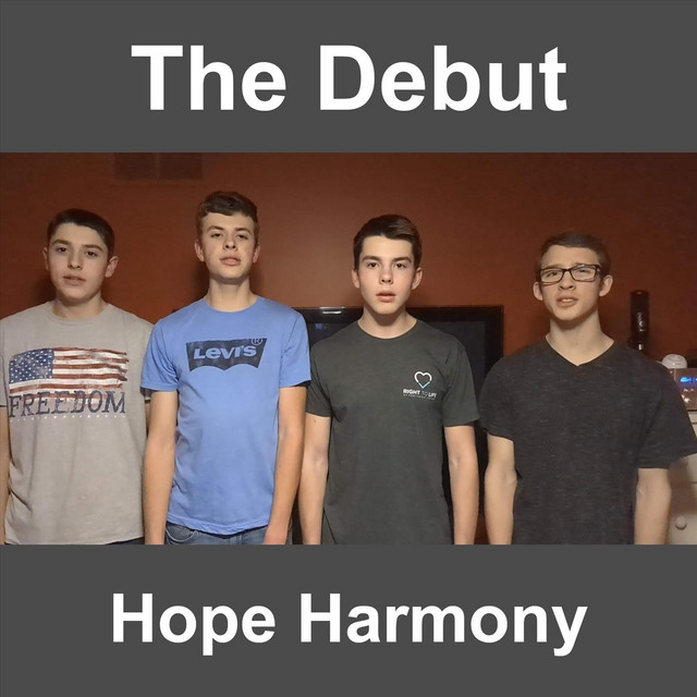 The Debut album cover