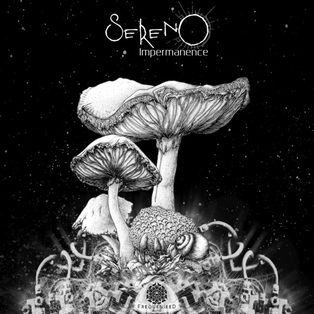Impermanence cover art