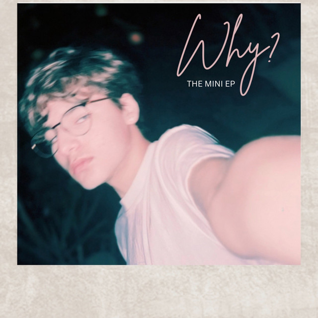 Why? - The Mini EP cover
