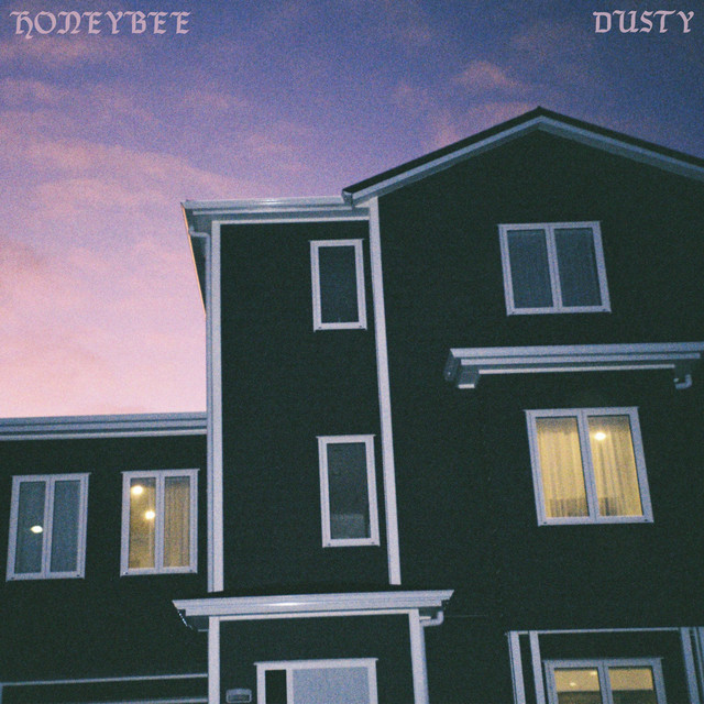Dusty cover