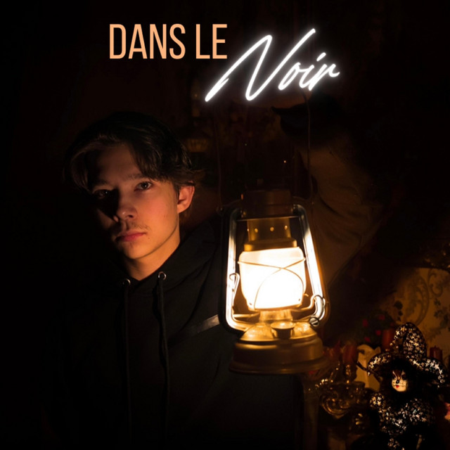 Dans Le Noir cover art