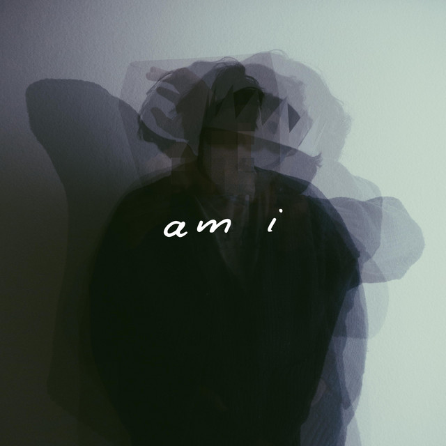 Am I cover art
