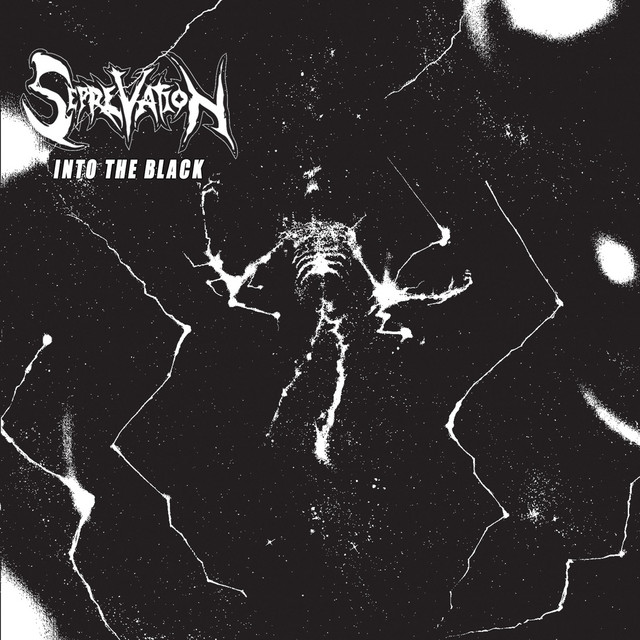 Into the Black cover