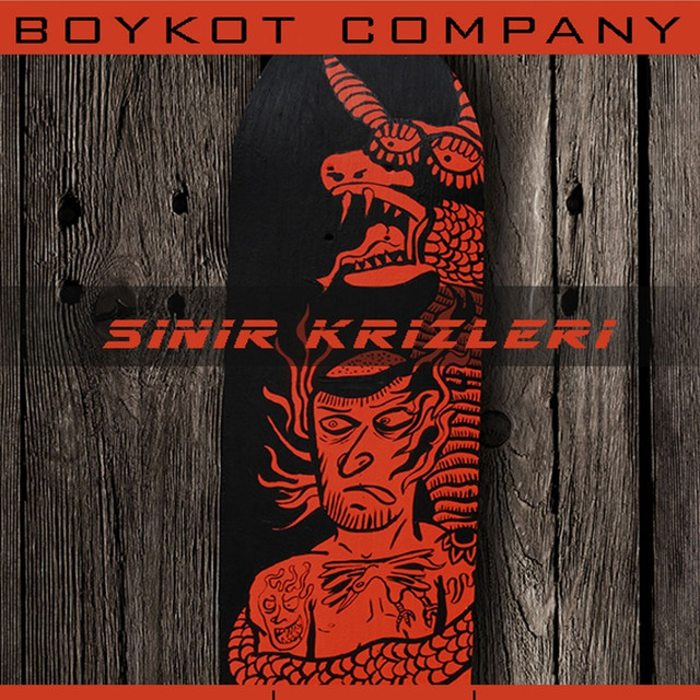 Sinir Krizleri cover art