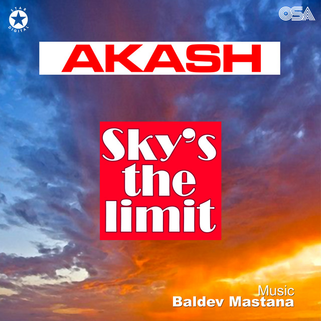 Sarke Sarke cover art