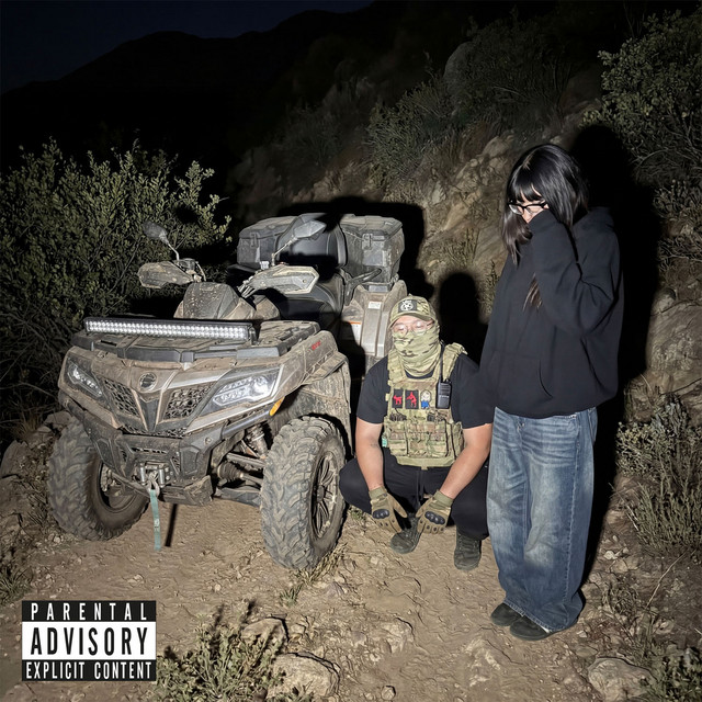 undefined album image