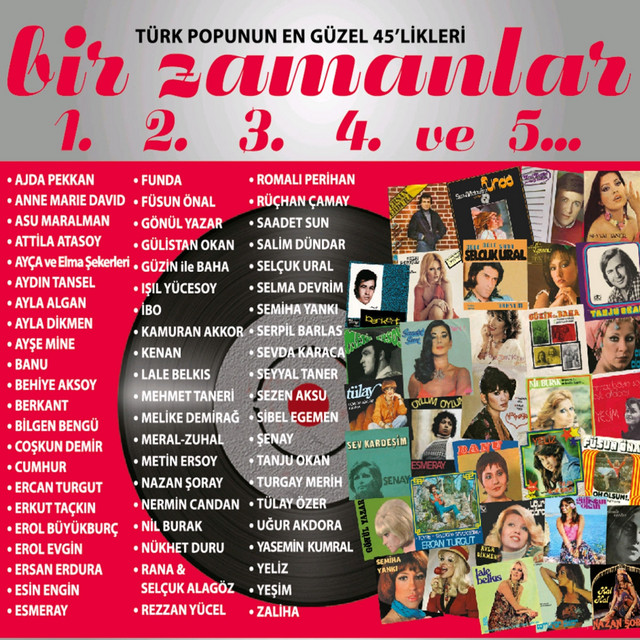 Anlamazdın