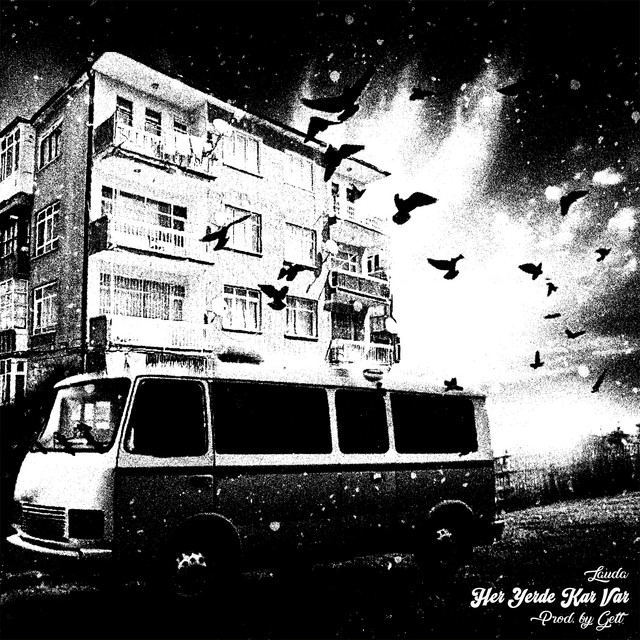 Her Yerde Kar Var cover art