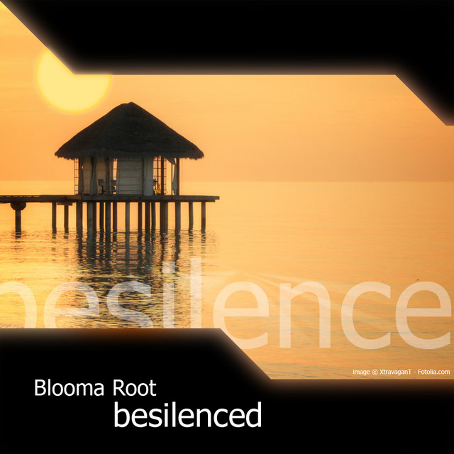 Besilenced cover