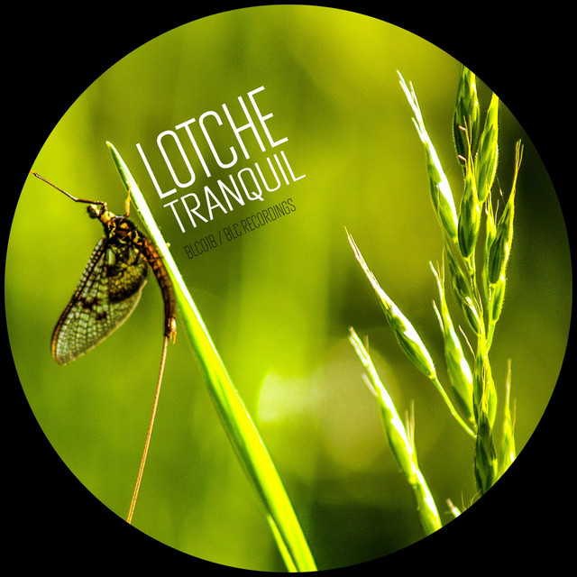 Tranquil cover art
