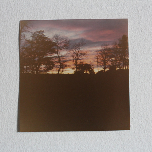 Fine Remains cover
