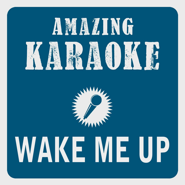 Wake Me Up feat. Aloe Blacc Cover