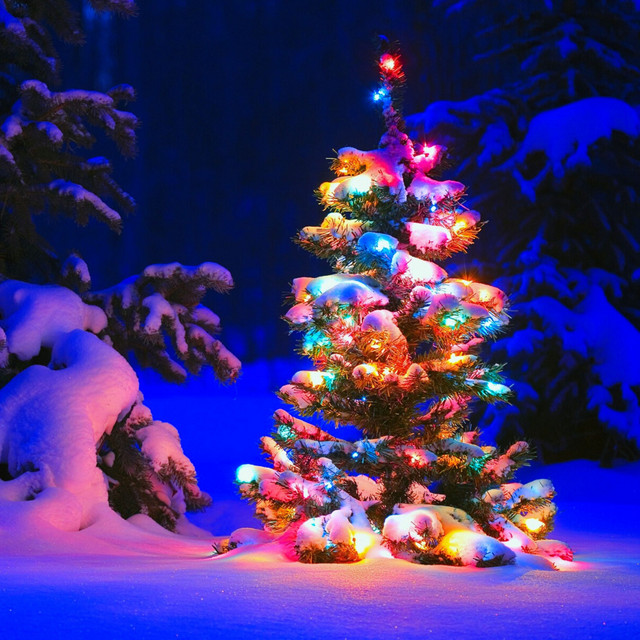 Luces de Navidad cover art