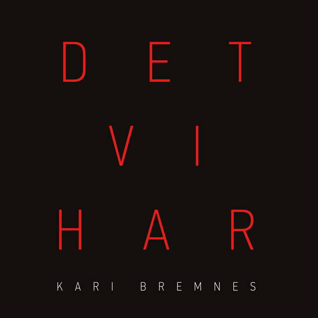 Det vi har cover art