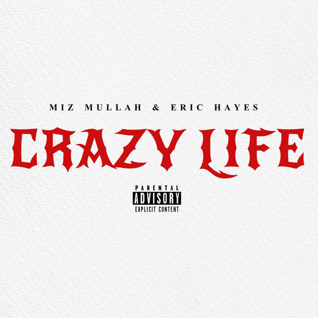 Crazy Life cover