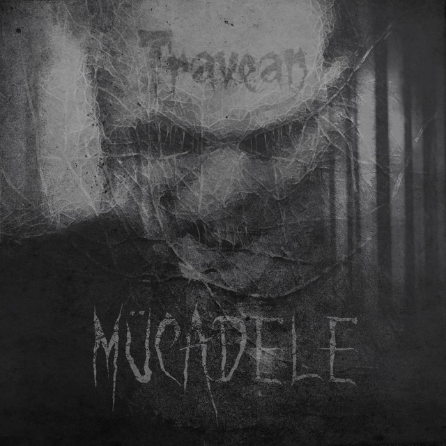 Mücadele cover art