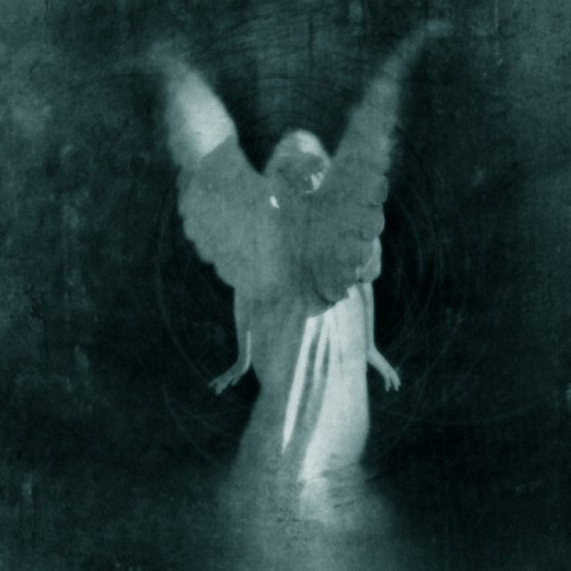 Beyond the Fall of Beauty cover art