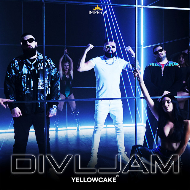 Divljam cover art