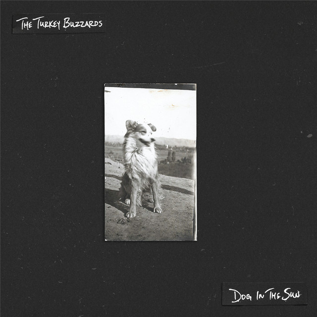 Dog in the Sun cover art