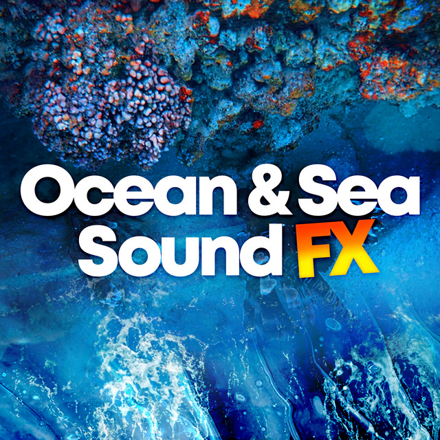Ocean & Sea Sound FX ! ! ! ! - Album by Deep Sleep Ocean Sounds | Spotify