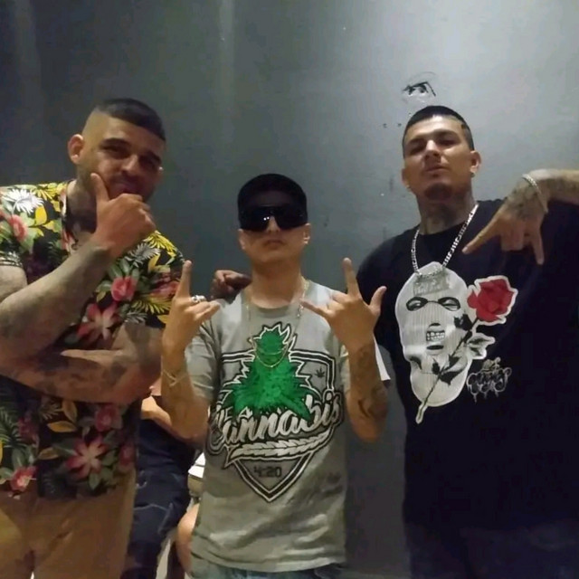 Igual