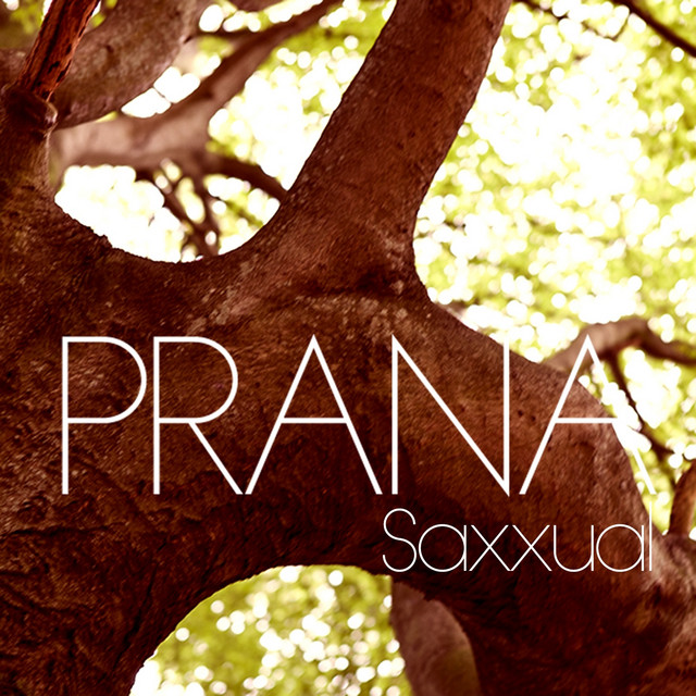 Saxxual - 2014 Edit