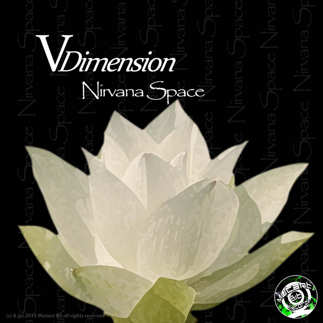 Nirvana Space cover