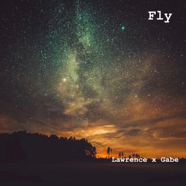 Fly cover art