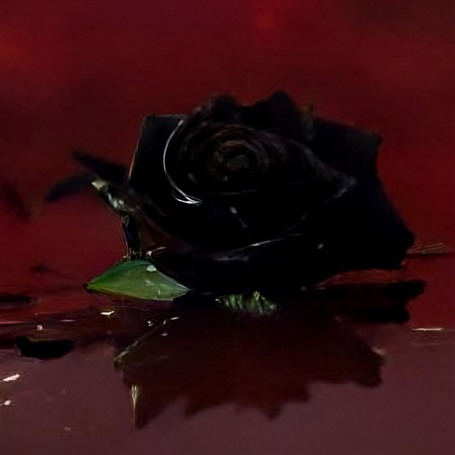 When Petals Fall cover art