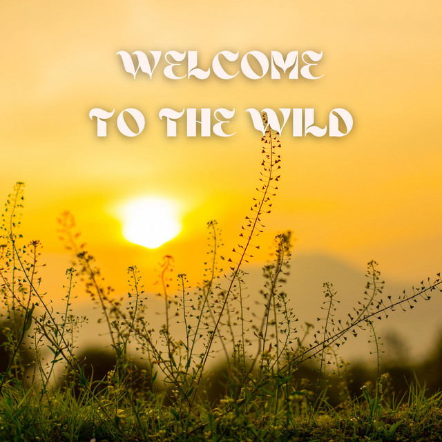 Slow Burn Song And Lyrics By Two Seconds To Wild West Spotify