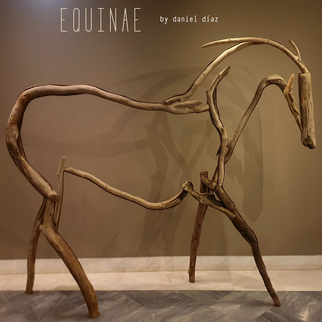Equinae cover