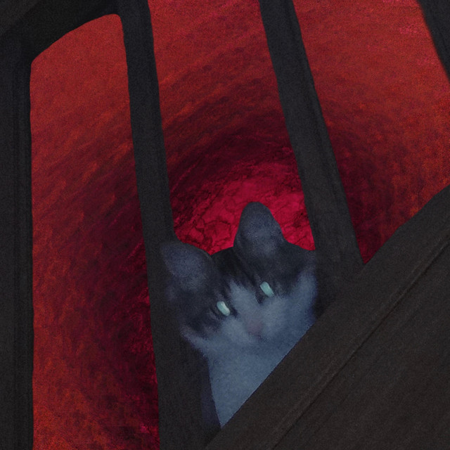 Fuzzy Lychee cover art