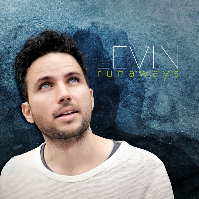 Album artwork for Washed Ashore by Levin
