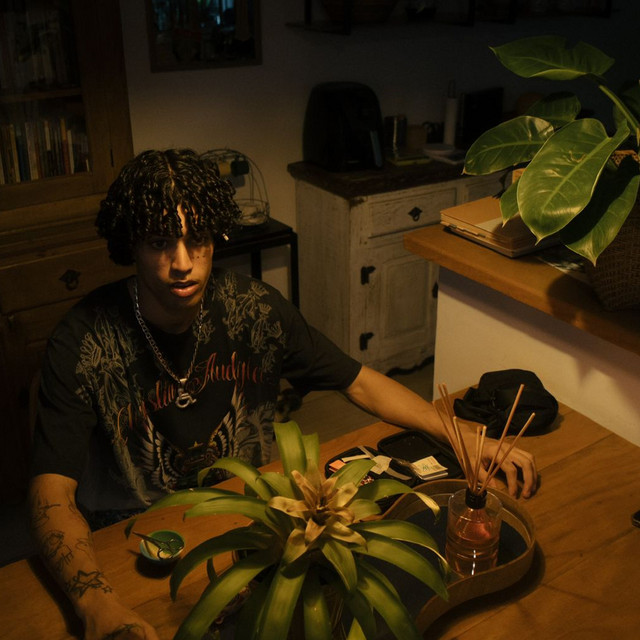 undefined album image
