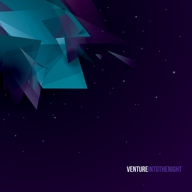Into the Night cover art