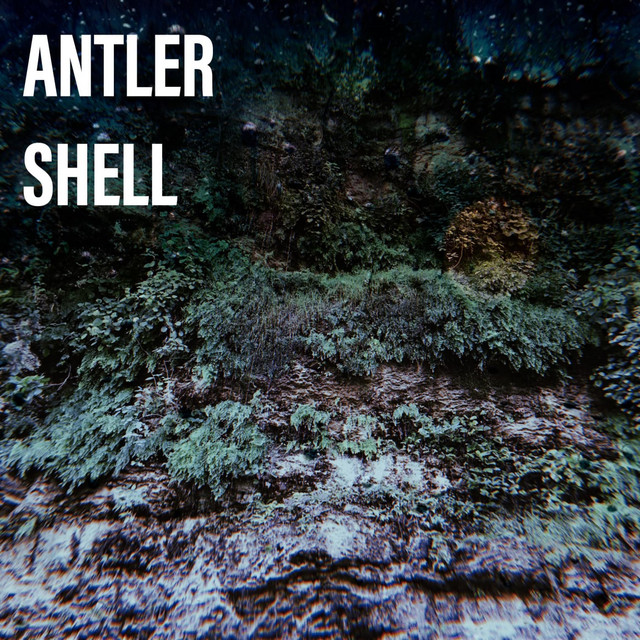 Antler Shell cover art