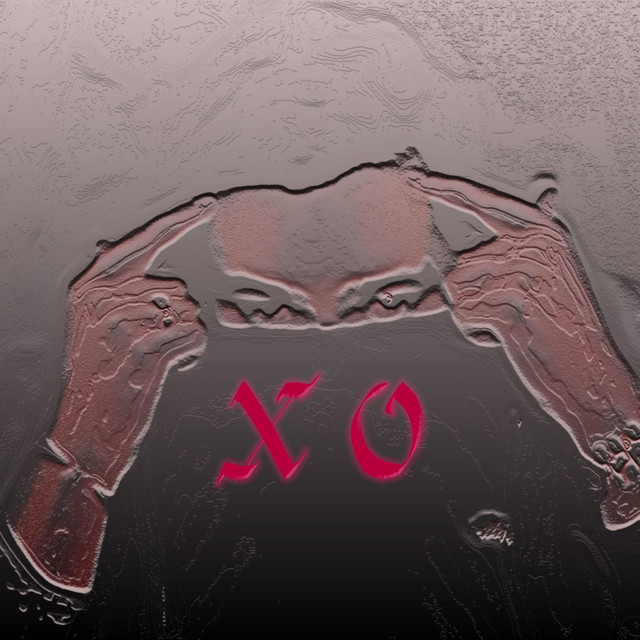 Xs and Os cover