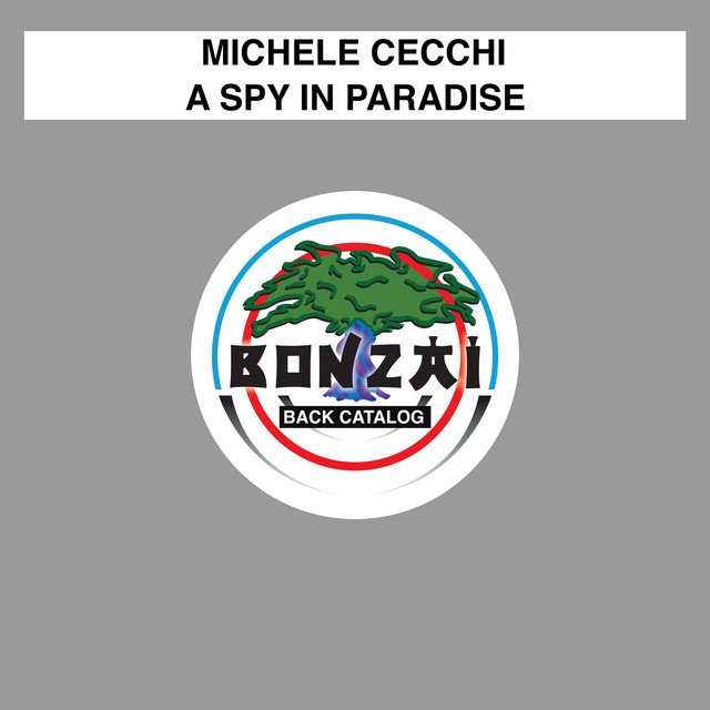 A Spy In Paradise cover