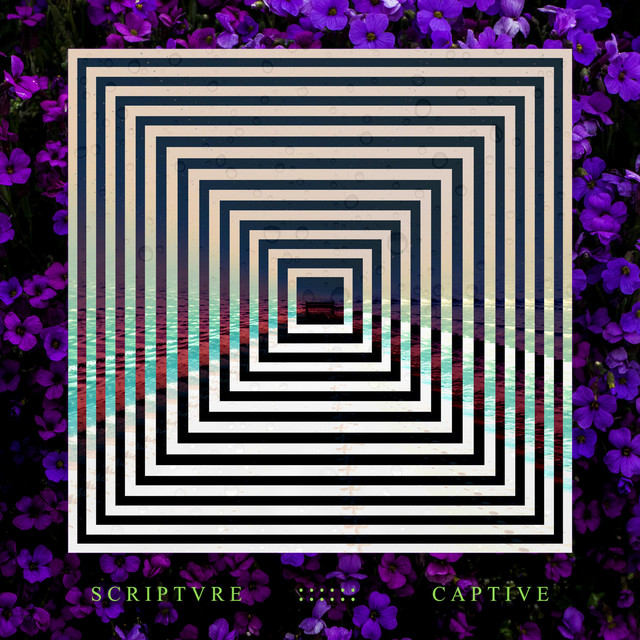Captive cover art
