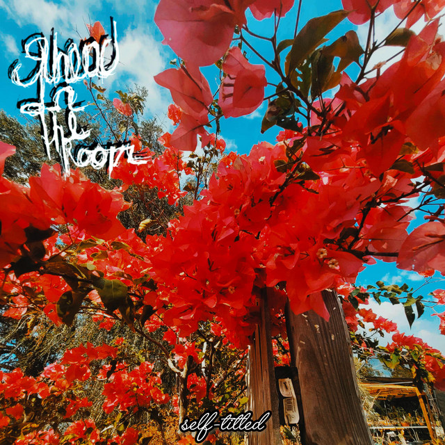 Juneau In The Room cover art