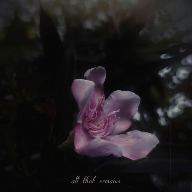 all that remains