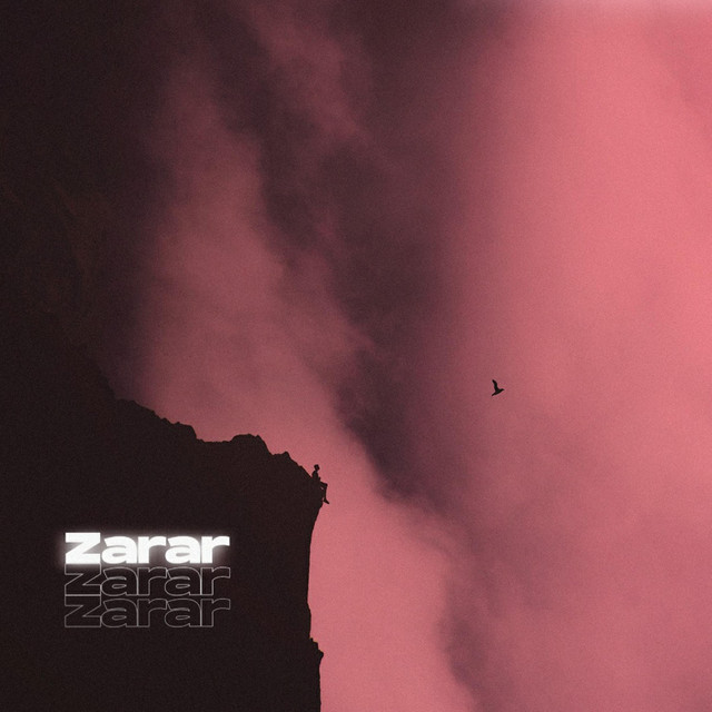 Zarar cover art