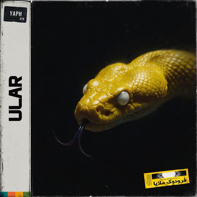 undefined album image