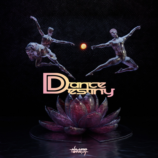 Dance Destiny cover art