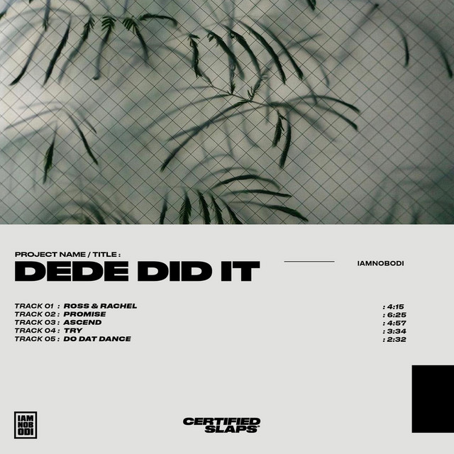Dede Did It cover art
