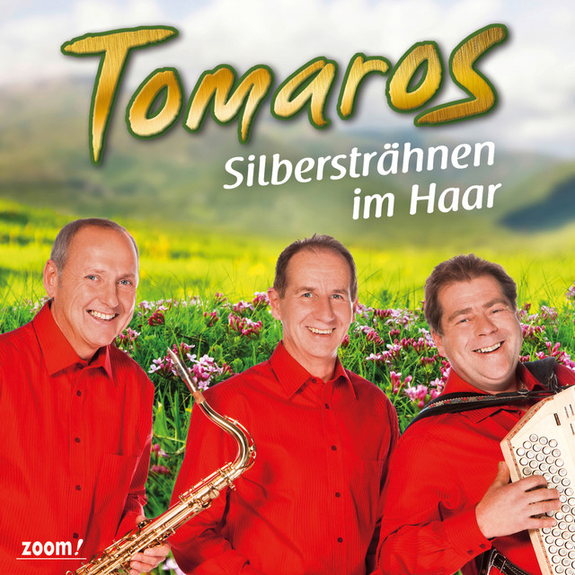 Silbersträhnen im Haar cover