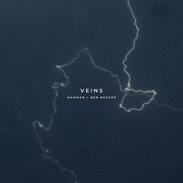 Veins